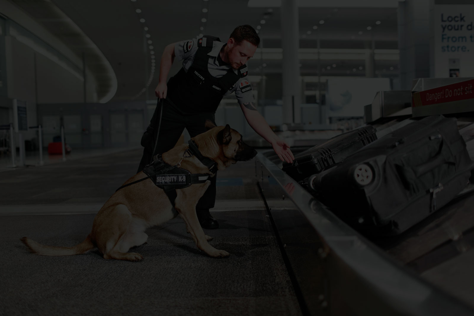 Canine Explosive Device Detection