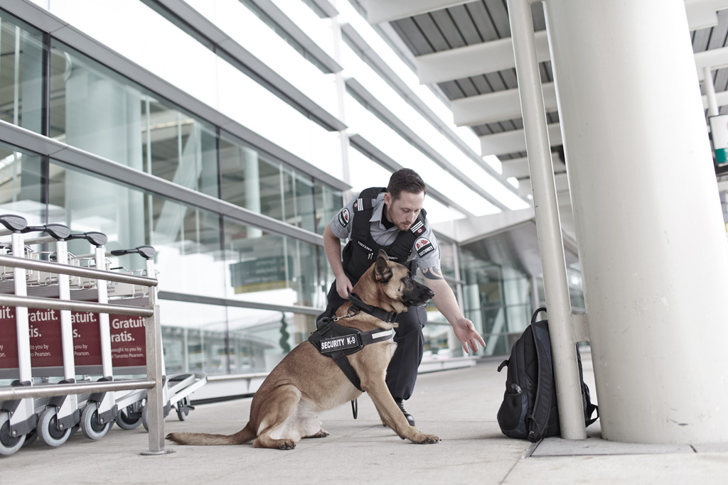 Canine Explosives Detection