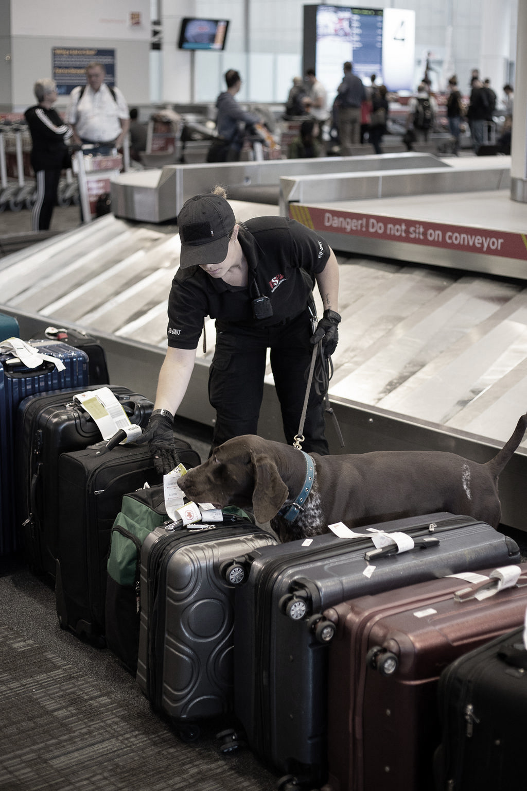 K9 Explosive Dog Detection