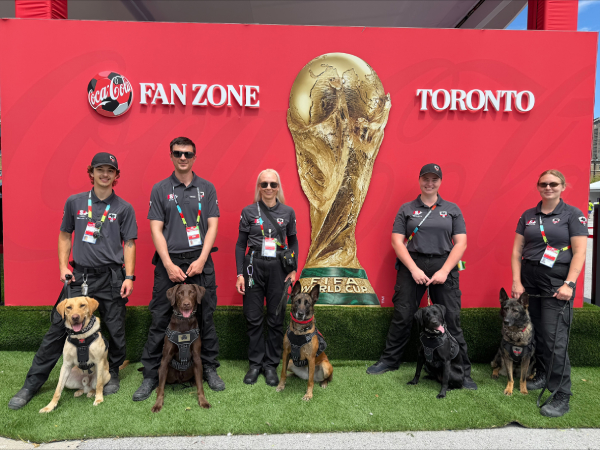 BMO Field - FIFA World Cup 2026